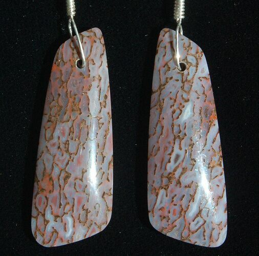 Gorgeous Agatized Dinosaur Bone (Gembone) Earrings #54081